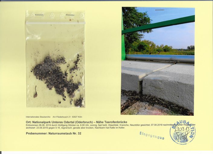 Oderbruch Naturraumstaub 32