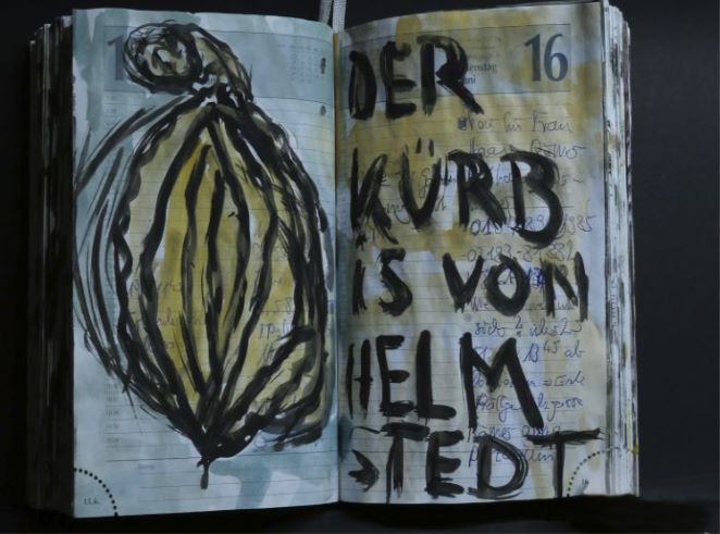 Der Kürbis von Helmstedt